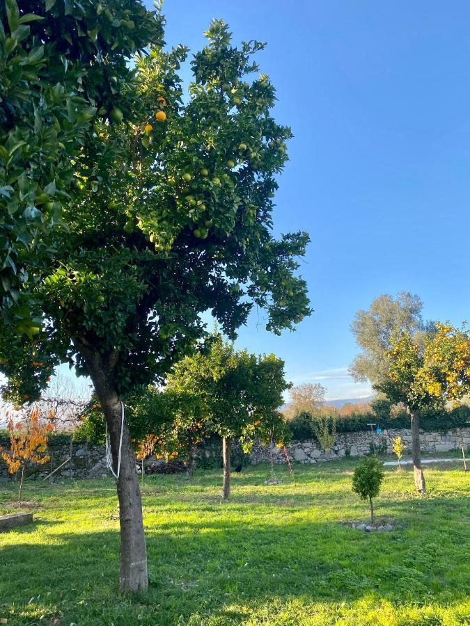 Bed and Breakfast Quinta De Areias Crespos Exterior foto