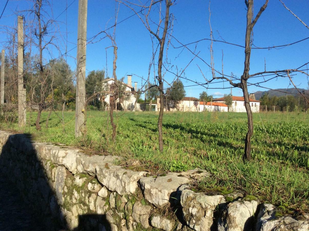 Bed and Breakfast Quinta De Areias Crespos Exterior foto
