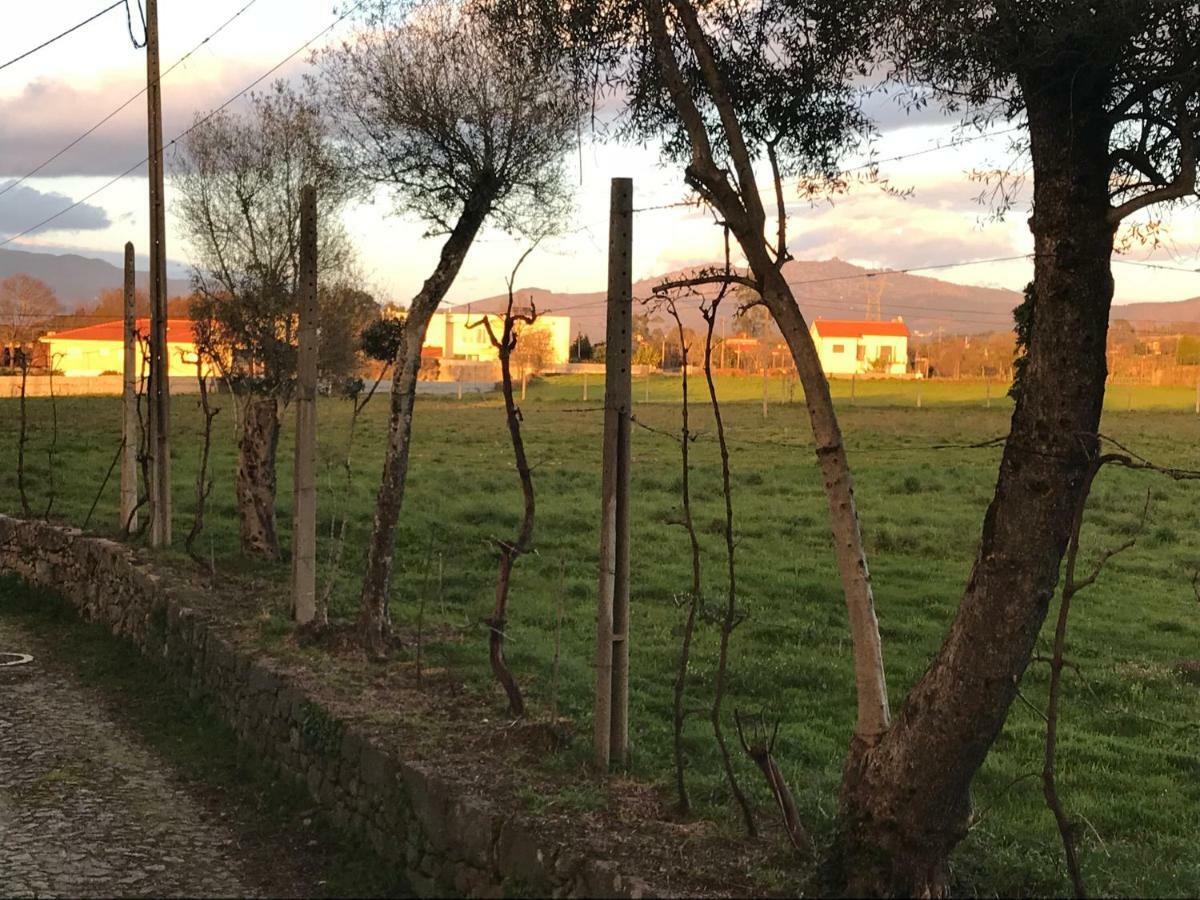 Bed and Breakfast Quinta De Areias Crespos Exterior foto